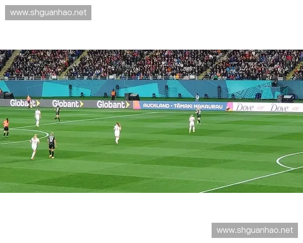 回顾足球世界杯历届冠军荣耀与时代变迁的深度历史全景解析综述